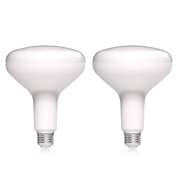 Ecosmart 75-Watt Equivalent BR40 Dimmable Energy Star LED Light Bulb Bright White (2-Pack)